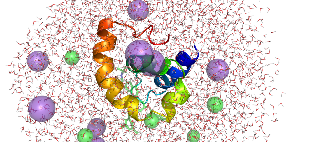 Molecular Dynamics Simulation for Drug Discovery