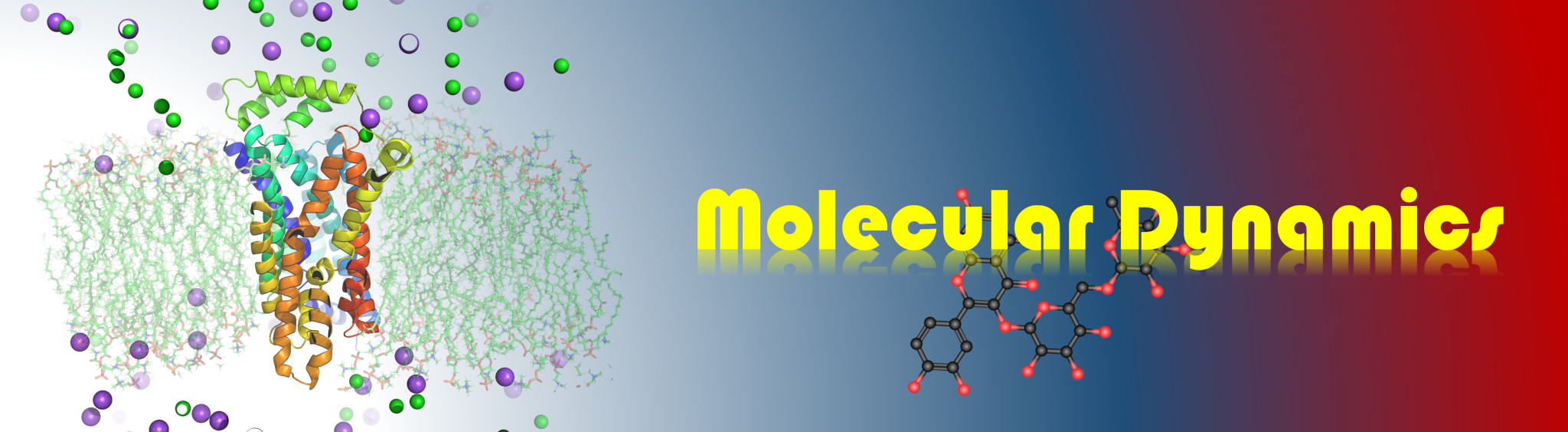 Molecular Dynamics Simulations- Drug Discovery Pro